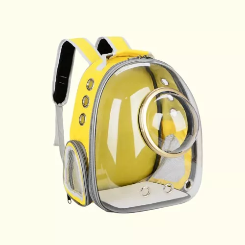 Shop Primary Image